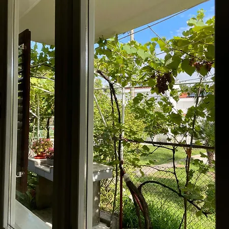 Apartamento Tanja *