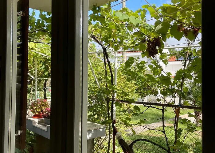 Διαμέρισμα Tanja *